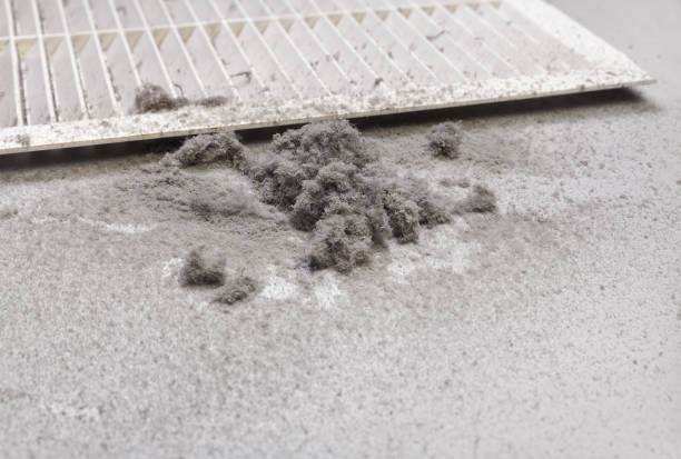 Best Affordable Duct Cleaning Services  in Normal, IL